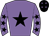Horse silk