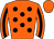 Horse silk