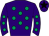 Horse silk