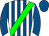 Horse silk