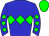 Horse silk