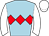 Horse silk