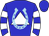 Horse silk
