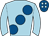 Horse silk