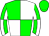 Horse silk