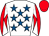 Horse silk