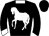 Horse silk