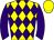 Horse silk