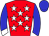 Horse silk