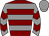Horse silk