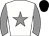 Horse silk