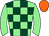 Horse silk