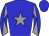 Horse silk