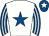 Horse silk
