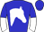 Horse silk