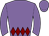 Horse silk