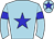 Horse silk
