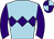 Horse silk