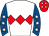Horse silk