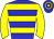 Horse silk