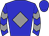 Horse silk
