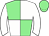 Horse silk