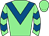 Horse silk