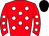 Horse silk