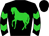Horse silk