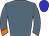 Horse silk