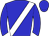 Horse silk