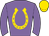 Horse silk
