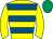 Horse silk