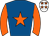 Horse silk