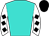 Horse silk