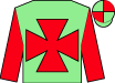 Horse silk