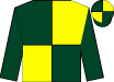 Horse silk
