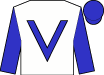 Horse silk