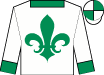 Horse silk