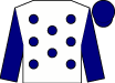 Horse silk