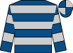 Horse silk