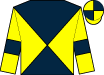 Horse silk