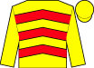 Horse silk
