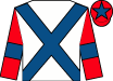 Horse silk