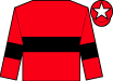 Horse silk