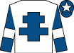Horse silk