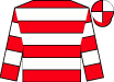 Horse silk
