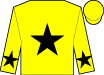 Horse silk