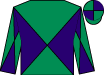 Horse silk