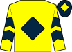 Horse silk